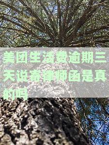 美团生活费逾期三天说寄律师函是真的吗，安全可靠？