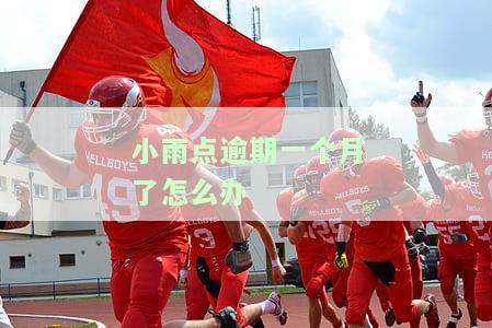 小雨点逾期20天会上征信吗，有影响吗？一两天会上征信吗？逾期一个月了怎么办？
