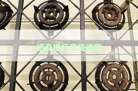 招商银行房贷逾期多长时间会被起诉，并可协商撤诉？