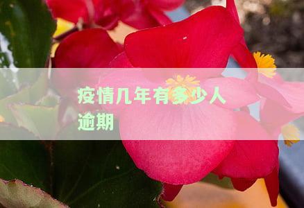 这次疫情多少人逾期