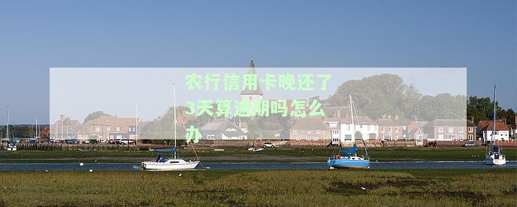 农行信用卡晚还了3天算逾期吗怎么办理及影响