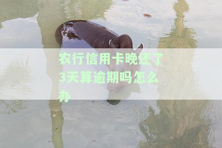 农业银行信用卡逾期一天会影响征信吗？