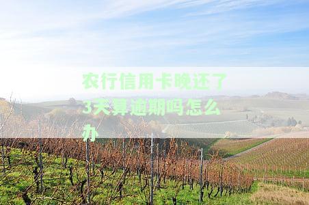 农行的信用卡还款日能推几天及晚还一天的影响