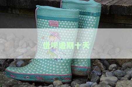 借呗逾期十天还款后多久可以再用？