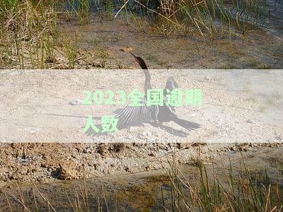 2023年全面停止催收网贷了的原因及现状