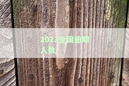 全国逾期人数2020-2023：2021-2022年逾期人数及2022新闻视频
