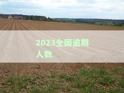 目前全国逾期人数及其列入失信人名单情况（2020-2021）