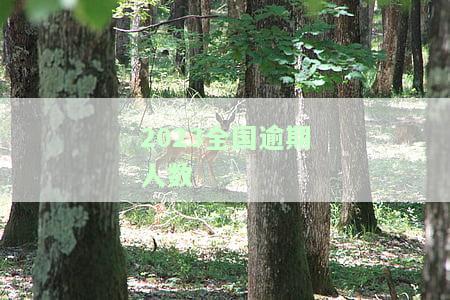 全国逾期率分布图及最高地区