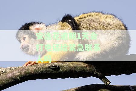 安逸花逾期一个星期以内会爆通讯录吗？逾期几天会打电话给通讯录的人？逾期多久会给通讯录家人打电话2021？逾期六天让三点还进去不然爆通讯录。逾期两三天会打电话给通讯录吗？