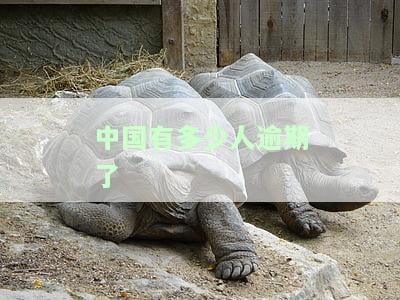 现在中国逾期的人数有多少?