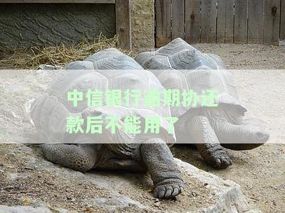 中信银行逾期了还进去还可以刷出来吗，安全吗？怎么办？