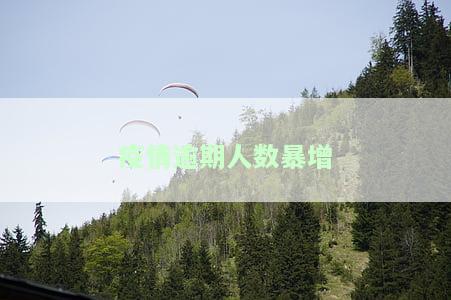 疫情期间逾期人数增加几倍