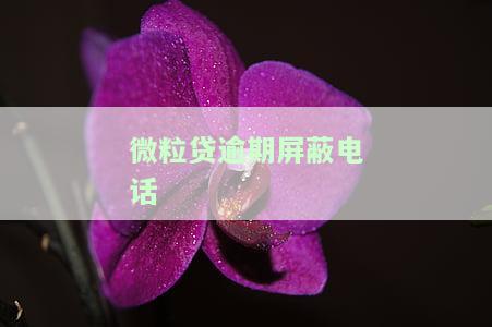 微粒贷逾期屏蔽电话怎么办，骚扰家人处理方法