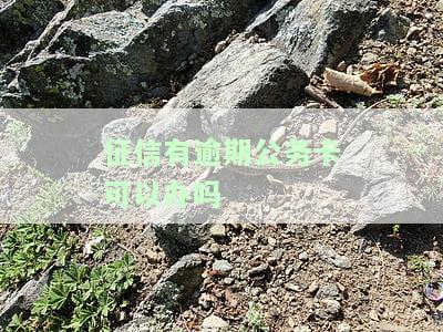 征信有逾期公务卡可以办吗有影响吗