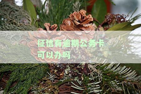 征信不好公务卡办理及冻结解决办法