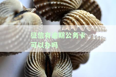 征信有逾期公务卡可以办吗