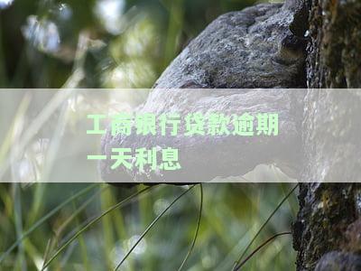 工行贷款逾期一天会怎么样处理及是否会有不良记录？
