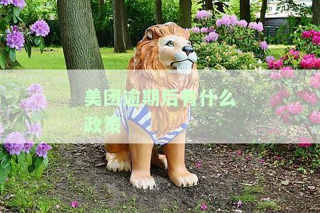 美团逾期是什么意思，收到催告函会有什么后果?
