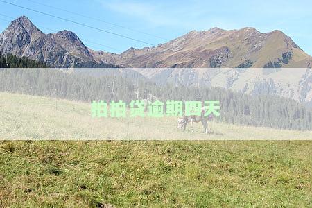 拍拍贷逾期四天会给紧急联系人打电话吗，安全吗？
