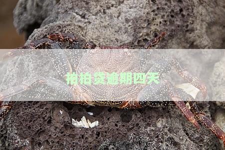 拍拍贷逾期四天人工催收要求中午12点还款合法、真实且合理吗？