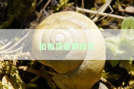 拍拍贷逾期四天，2点前还上，没还会怎样？