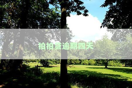 拍拍贷逾期四天了，说直接走程序是什么意思？
