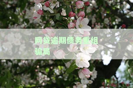 网贷债务重组是什么意思，网上债务重组收费高吗