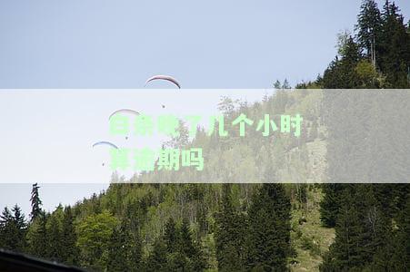 白条晚了几个小时算逾期吗怎么办，白条晚了几天会影响信用吗