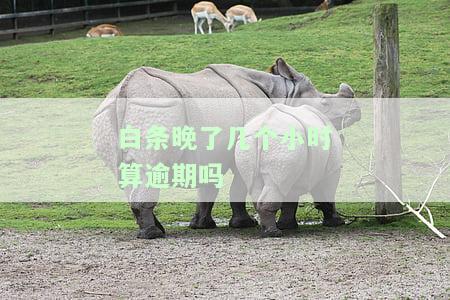 白条晚了几个小时算逾期吗会怎么样，白条晚了几天会影响信用吗，白条晚还几天会怎么样