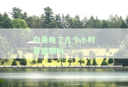 白条晚了几个小时算逾期吗