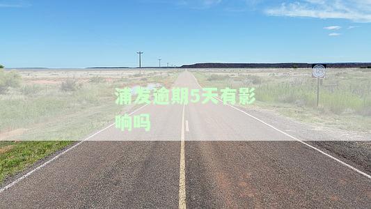 浦发银行逾期4天,马上还款是否影响征信记录
