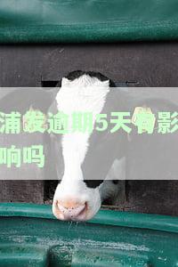 浦发逾期几天催收要我还清合理吗安全？
