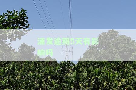 浦发逾期5天有影响吗