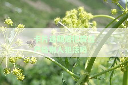 房主有信用卡逾期会影响卖房子过户吗及处理方法