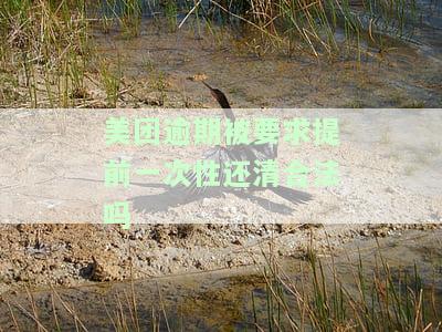 美团逾期后要求一次性付清是真的吗？如何和客服沟通？是否安全？