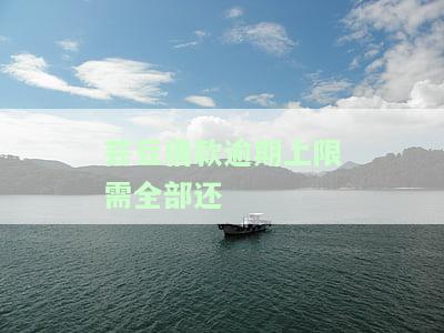 芸豆借款逾期会怎么样，上征信吗，一天会怎么样，不还会怎样