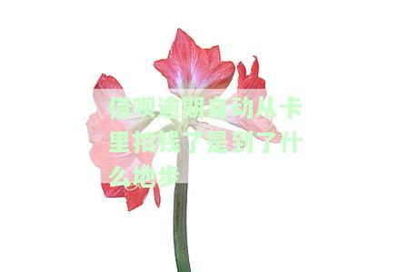 借呗逾期自动从卡里扣钱了是到了什么地步，如何找回逾期自动扣款的钱？