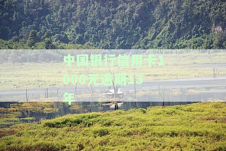 中国银行信用卡1000元逾期13年会怎样处理和处罚？