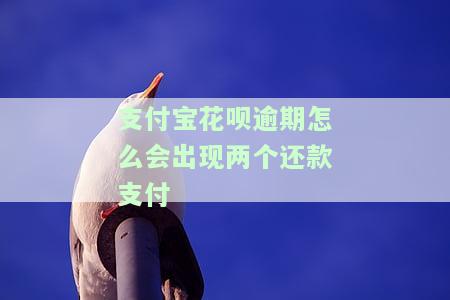 花呗逾期好几次只能还钱，又逾期该咋办？逾期对贷款有影响吗？逾期两次全额还款后能继续使用花呗吗？