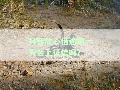 抖音放心借逾期一天会怎样，上征信吗？