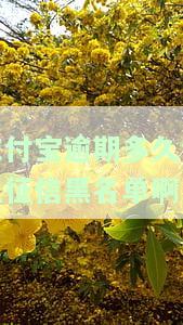 网贷无力偿还最新规定及相关平台的情况
