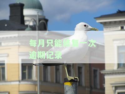 逾期记录可修复是什么意思，有什么用？