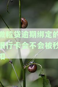 微粒贷逾期银行卡里面有钱就会被扣掉吗？