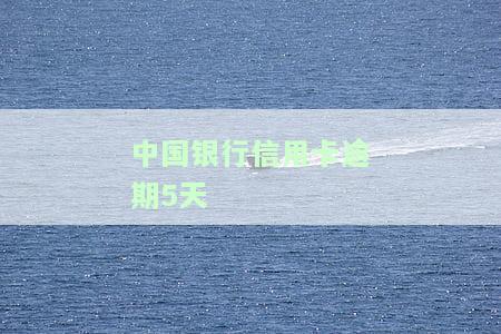 中国银行信用卡逾期5天客服说没事怎么办