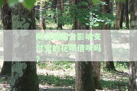 网贷逾期会影响支付宝的花呗借呗吗安全吗？