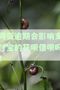 网贷逾期会影响支付宝花呗使用吗
