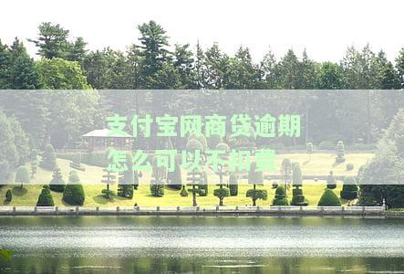 支付宝网商贷逾期不还会有什么后果，会影响征信吗？