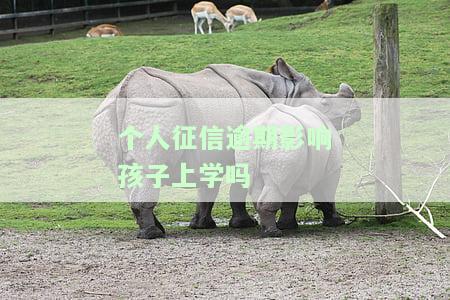 个人征信逾期有什么后果及恢复方法
