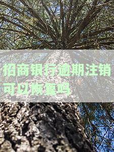 招商有过严重逾期直接销卡了，还能再申请吗？