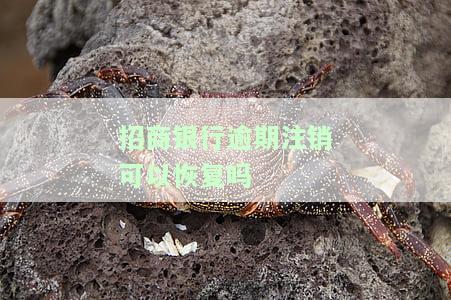 招商银行逾期多久停卡还清可以解冻吗，长度不能大于70个字节，并且标题必须包含且用‘招商银行逾期多久停卡还清可以解冻吗’开头